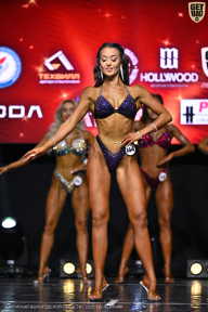 Чемпионат Вологодской области по бодибилдингу - 2025