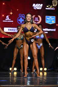 Чемпионат Вологодской области по бодибилдингу - 2025