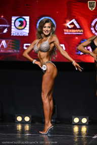 Чемпионат Вологодской области по бодибилдингу - 2025