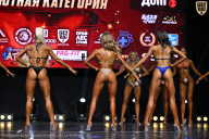 Чемпионат Вологодской области по бодибилдингу - 2025