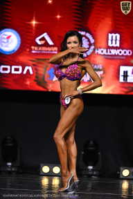 Чемпионат Вологодской области по бодибилдингу - 2025