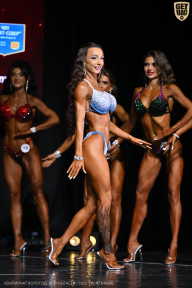 Чемпионат Вологодской области по бодибилдингу - 2025