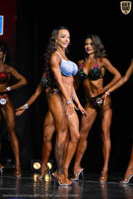 Чемпионат Вологодской области по бодибилдингу - 2025