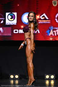 Чемпионат Вологодской области по бодибилдингу - 2025