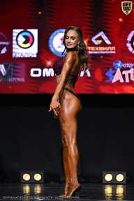 Чемпионат Вологодской области по бодибилдингу - 2025