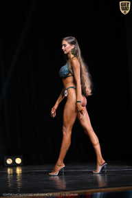 Чемпионат Вологодской области по бодибилдингу - 2025