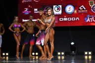 Чемпионат Вологодской области по бодибилдингу - 2025