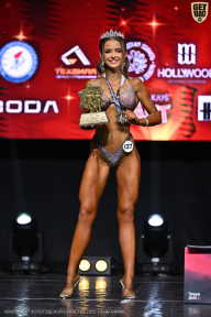 Чемпионат Вологодской области по бодибилдингу - 2025