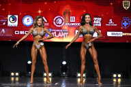 Чемпионат Вологодской области по бодибилдингу - 2025