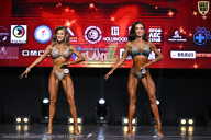 Чемпионат Вологодской области по бодибилдингу - 2025