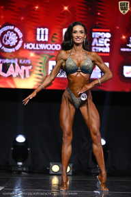 Чемпионат Вологодской области по бодибилдингу - 2025