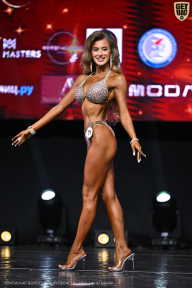 Чемпионат Вологодской области по бодибилдингу - 2025