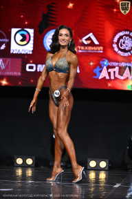 Чемпионат Вологодской области по бодибилдингу - 2025