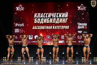 Чемпионат Вологодской области по бодибилдингу - 2025