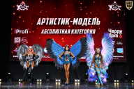 Чемпионат Вологодской области по бодибилдингу - 2025