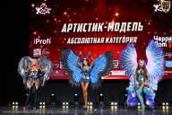 Чемпионат Вологодской области по бодибилдингу - 2025