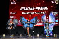 Чемпионат Вологодской области по бодибилдингу - 2025