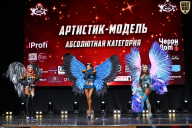 Чемпионат Вологодской области по бодибилдингу - 2025