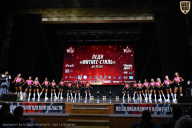 Чемпионат Вологодской области по бодибилдингу - 2025