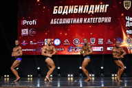 Чемпионат Вологодской области по бодибилдингу - 2025