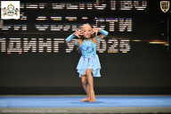 Чемпионат Воронежской области по бодибилдингу - 2025