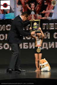 Чемпионат Воронежской области по бодибилдингу - 2025