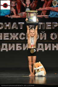 Чемпионат Воронежской области по бодибилдингу - 2025