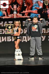 Чемпионат Воронежской области по бодибилдингу - 2025