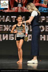 Чемпионат Воронежской области по бодибилдингу - 2025