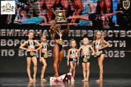 Чемпионат Воронежской области по бодибилдингу - 2025