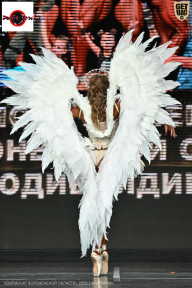 Чемпионат Воронежской области по бодибилдингу - 2025