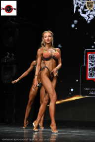 Чемпионат Воронежской области по бодибилдингу - 2025