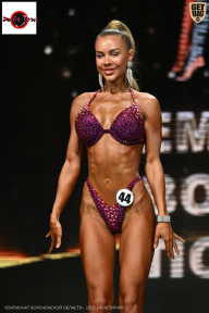 Чемпионат Воронежской области по бодибилдингу - 2025