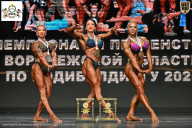 Чемпионат Воронежской области по бодибилдингу - 2025