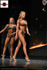 Чемпионат Воронежской области по бодибилдингу - 2025