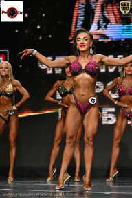 Чемпионат Воронежской области по бодибилдингу - 2025