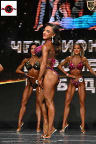 Чемпионат Воронежской области по бодибилдингу - 2025