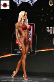 Чемпионат Воронежской области по бодибилдингу - 2025