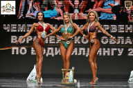 Чемпионат Воронежской области по бодибилдингу - 2025