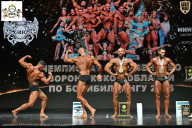 Чемпионат Воронежской области по бодибилдингу - 2025