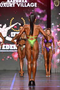 Grand Prix Dudushkin Fitness Family - 2026