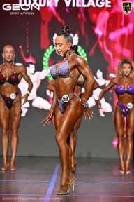 Grand Prix Dudushkin Fitness Family - 2026