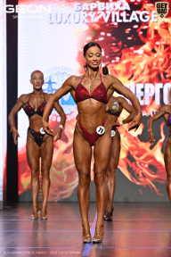 Grand Prix Dudushkin Fitness Family - 2026