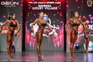 Grand Prix Dudushkin Fitness Family - 2026