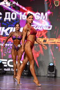 Grand Prix Dudushkin Fitness Family - 2026