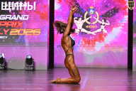 Grand Prix Dudushkin Fitness Family - 2026