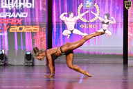 Grand Prix Dudushkin Fitness Family - 2026