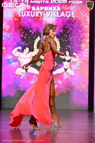 Grand Prix Dudushkin Fitness Family - 2026