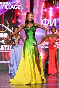 Grand Prix Dudushkin Fitness Family - 2026