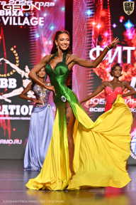 Grand Prix Dudushkin Fitness Family - 2026